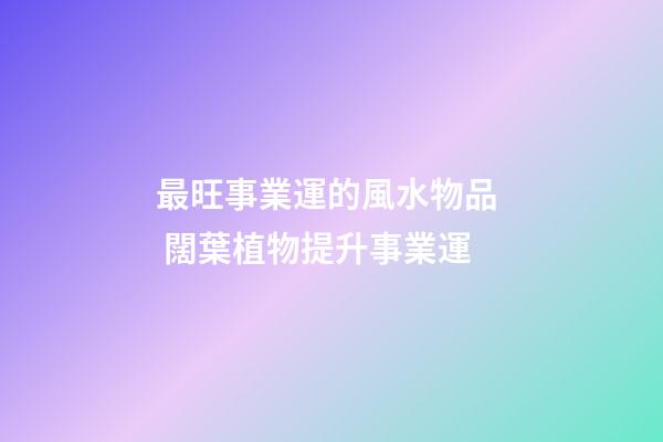 最旺事業運的風水物品  闊葉植物提升事業運